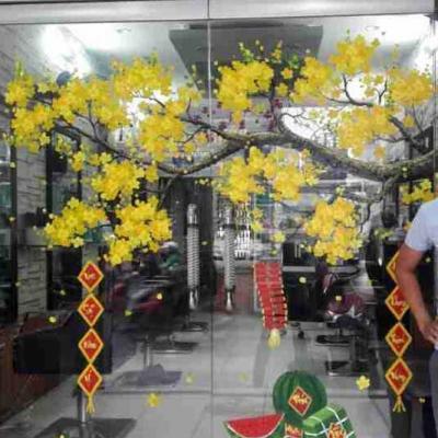 vẽ tranh hoa mai trên kính