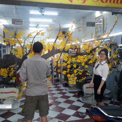 vẽ trang trí cây mai trên cửa kính