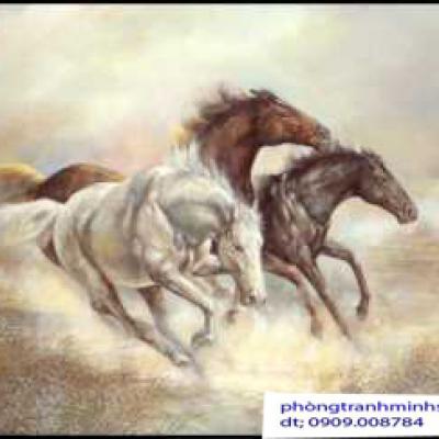 MA DAO THANH CÔNG 40X50