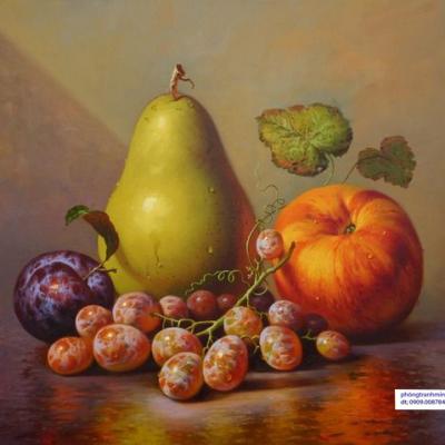 TINH VÂT TRAI CÂY 40X50-002